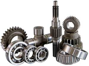 �������� �����